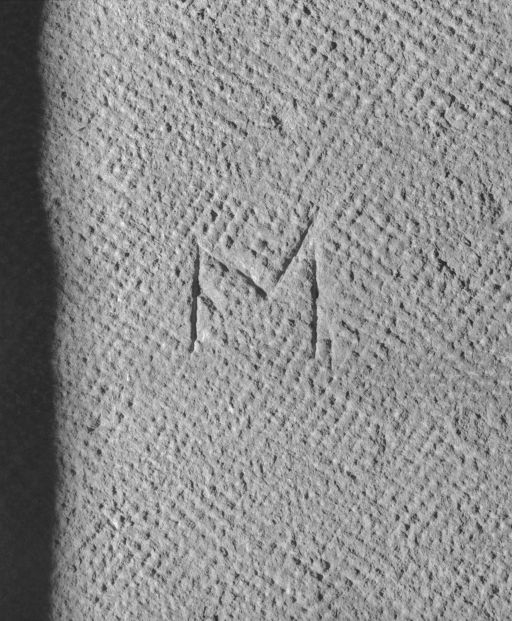 Ancienne salle Notre-Dame : signe lapidaire. © Michel Rosso / Région Bourgogne-Franche-Comté, Inventaire du patrimoine - 1990