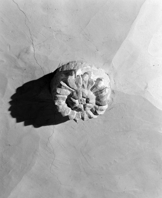  collégiale © Jean-Luc Duthu / Région Bourgogne-Franche-Comté, Inventaire du patrimoine - 1993