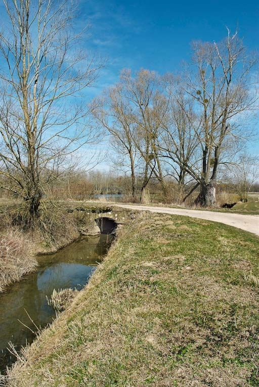 Ponceau sur une boucle de la Seille, rive gauche, à la Grande Seugnière. © Jean-Luc Duthu / Région Bourgogne-Franche-Comté, Inventaire du patrimoine - 2010