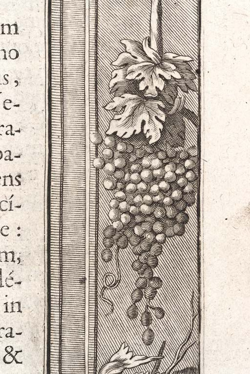 Page 319, détail : grappe de raisin. © Pierre-Marie Barbe-Richaud / Région Bourgogne-Franche-Comté, Inventaire du patrimoine - 2011