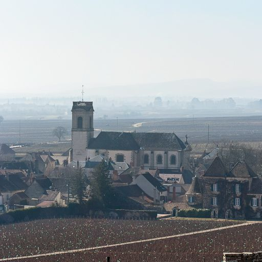 Eglise dans son site. © Pierre-Marie Barbe-Richaud / Région Bourgogne-Franche-Comté, Inventaire du patrimoine - 2012