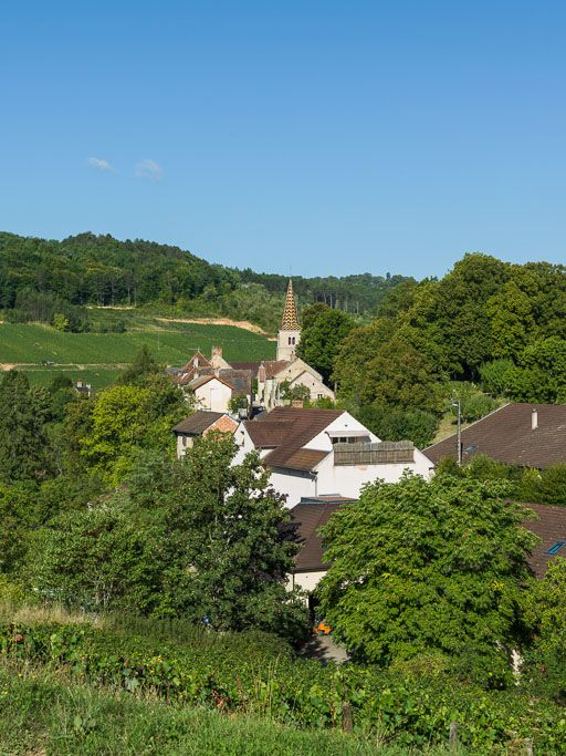 Vue générale de l'église et du village de Pernand-Vergelesses. © Pierre-Marie Barbe-Richaud / Région Bourgogne-Franche-Comté, Inventaire du patrimoine - 2015