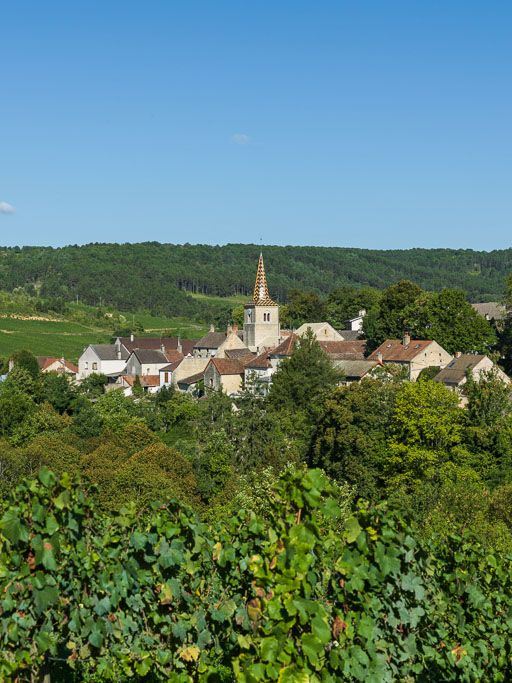 Vue générale de l'église et du village. © Pierre-Marie Barbe-Richaud / Région Bourgogne-Franche-Comté, Inventaire du patrimoine - 2015