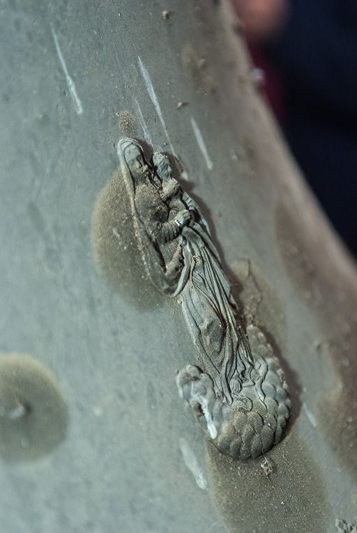 Détail. © Pierre-Marie Barbe-Richaud / Région Bourgogne-Franche-Comté, Inventaire du patrimoine - 2016