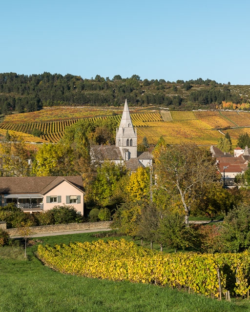 L'église dans son vignoble. © Pierre-Marie Barbe-Richaud / Région Bourgogne-Franche-Comté, Inventaire du patrimoine - 2016
