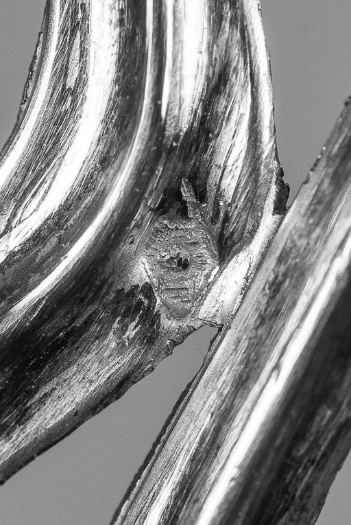 Ostensoir : détail de poinçon. © Pierre-Marie Barbe-Richaud / Région Bourgogne-Franche-Comté, Inventaire du patrimoine - 2017