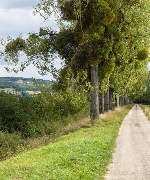 Vue des carrières depuis le chemin de halage. © Pierre-Marie Barbe-Richaud / Région Bourgogne-Franche-Comté, Inventaire du patrimoine - 2017
