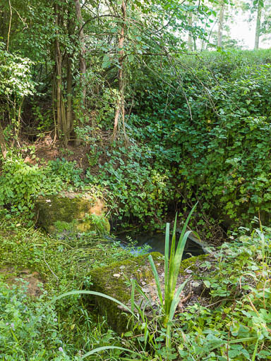Vue de l'aqueduc dans la végétation. © Pierre-Marie Barbe-Richaud / Région Bourgogne-Franche-Comté, Inventaire du patrimoine - 2017