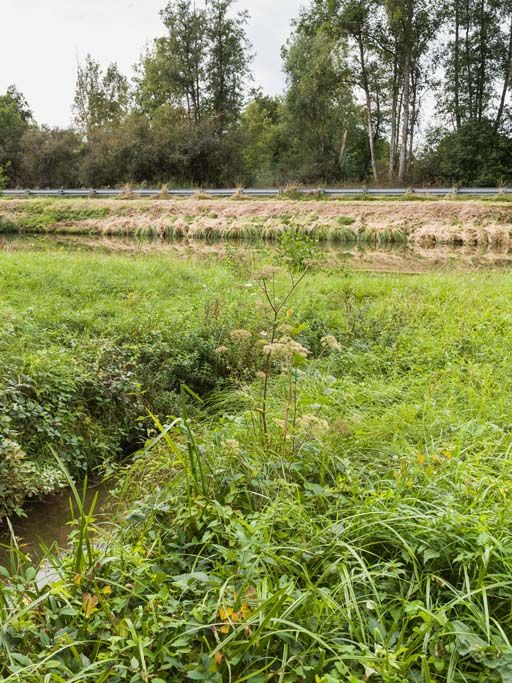 Vue du site. © Pierre-Marie Barbe-Richaud / Région Bourgogne-Franche-Comté, Inventaire du patrimoine - 2017