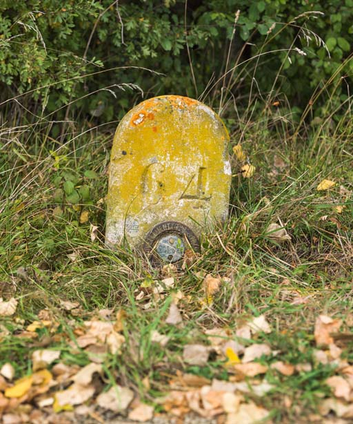 Vue d'ensemble de la borne. © Pierre-Marie Barbe-Richaud / Région Bourgogne-Franche-Comté, Inventaire du patrimoine - 2017