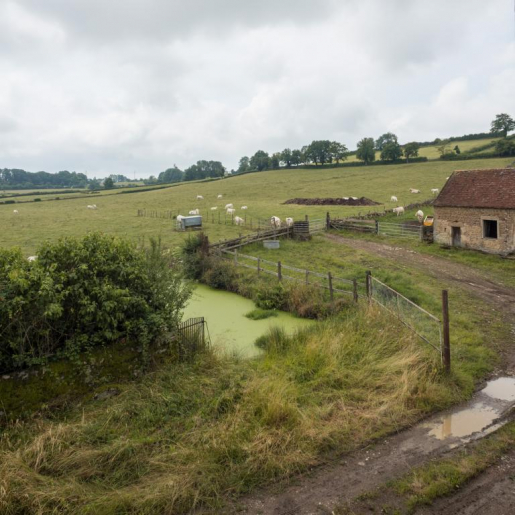 mare © Pierre-Marie Barbe-Richaud / Région Bourgogne-Franche-Comté, Inventaire du patrimoine - 2018