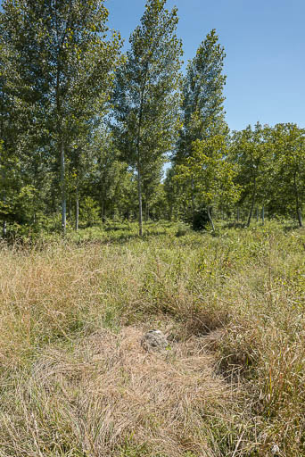 Vue de la borne, dissimulée par les herbes. © Pierre-Marie Barbe-Richaud / Région Bourgogne-Franche-Comté, Inventaire du patrimoine - 2018