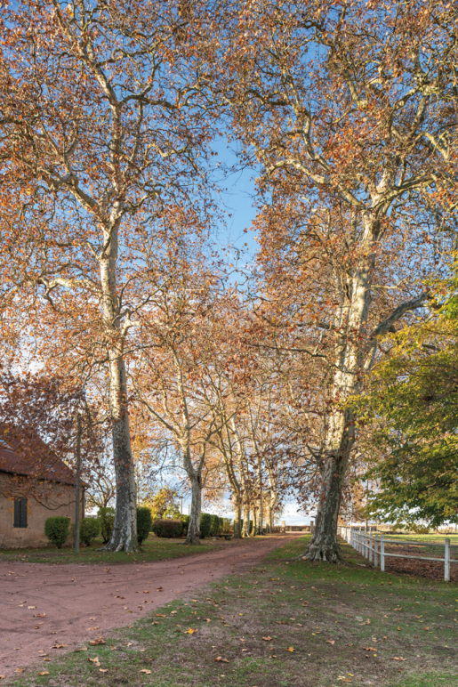 allée © Pierre-Marie Barbe-Richaud / Région Bourgogne-Franche-Comté, Inventaire du patrimoine - 2018