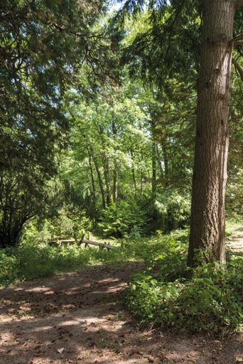 bosquet © Pierre-Marie Barbe-Richaud / Région Bourgogne-Franche-Comté, Inventaire du patrimoine - 2019