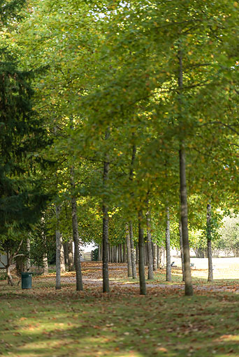 allée © Pierre-Marie Barbe-Richaud / Région Bourgogne-Franche-Comté, Inventaire du patrimoine - 2020 allée © Pierre-Marie Barbe-Richaud / Région Bourgogne-Franche-Comté, Inventaire du patrimoine - 2020