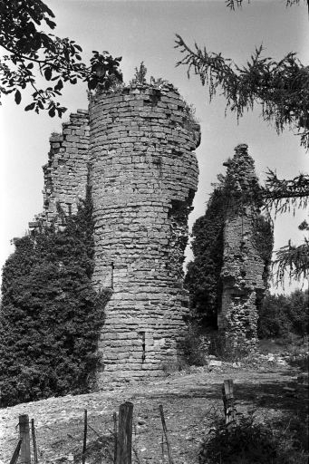Le château-fort, vu depuis l'est. © Guy Forestier / Région Bourgogne-Franche-Comté, Inventaire du patrimoine - 1974