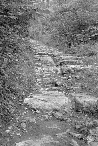 Montée vers le passage : marches taillées dans le rocher. © Gilbert Poinsot / Région Bourgogne-Franche-Comté, Inventaire du patrimoine - 1975