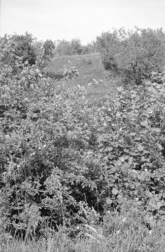 Détail du site. © Gilbert Poinsot / Région Bourgogne-Franche-Comté, Inventaire du patrimoine - 1975