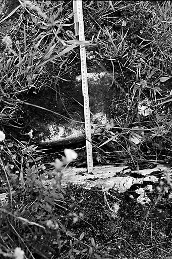 Vue d'une ornière. © Gilbert Poinsot / Région Bourgogne-Franche-Comté, Inventaire du patrimoine - 1975