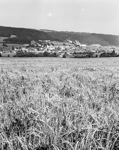 Village vu depuis la route de Chauveresche. © Dominique Humbert / Région Bourgogne-Franche-Comté, Inventaire du patrimoine - 1976