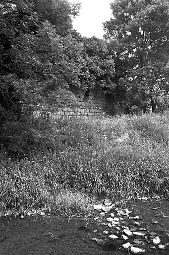 Vestiges du château-fort. © Dominique Dominguez / Région Bourgogne-Franche-Comté, Inventaire du patrimoine - 1979