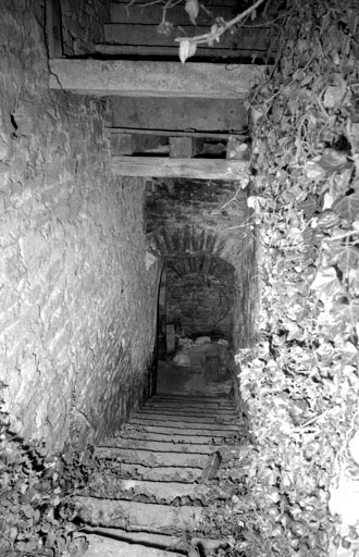 Partie habitation : escalier menant à la cave. © Bernard Lardière / Région Bourgogne-Franche-Comté, Inventaire du patrimoine - 1979