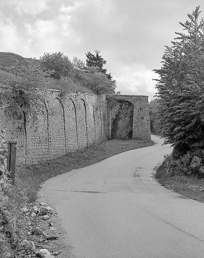 Vue verticale et rapprochée du front de gorge. © Yves Sancey / Région Bourgogne-Franche-Comté, Inventaire du patrimoine - 1980