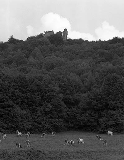 Vue de situation. © Yves Sancey / Région Bourgogne-Franche-Comté, Inventaire du patrimoine - 1981