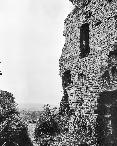 Vue extérieure du donjon et panorama. © Yves Sancey / Région Bourgogne-Franche-Comté, Inventaire du patrimoine - 1983