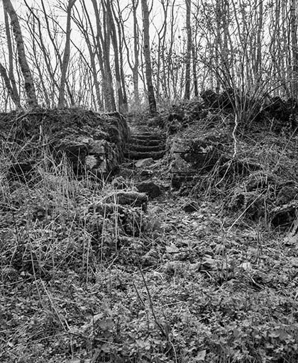 Détail des vestiges depuis le nord. © Jérôme Mongreville / Région Bourgogne-Franche-Comté, Inventaire du patrimoine - 1985