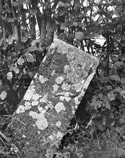 Vue générale. © Jérôme Mongreville / Région Bourgogne-Franche-Comté, Inventaire du patrimoine - 1985