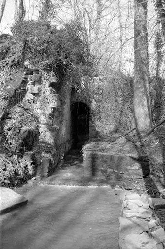 Coursière au débouché du bassin de retenue. © Laurent Poupard / Région Bourgogne-Franche-Comté, Inventaire du patrimoine - 1988