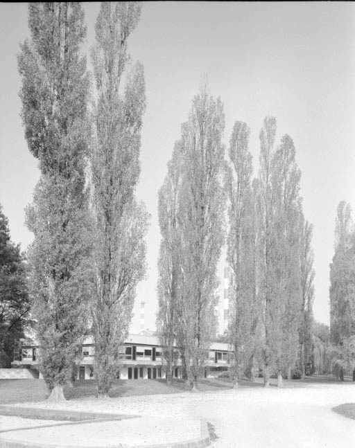 Restaurant d'entreprise vu depuis le stationnement au sud-est. © Yves Sancey / Région Bourgogne-Franche-Comté, Inventaire du patrimoine - 1989 Restaurant d'entreprise vu depuis le stationnement au sud-est. © Yves Sancey / Région Bourgogne-Franche-Comté, Inventaire du patrimoine - 1989