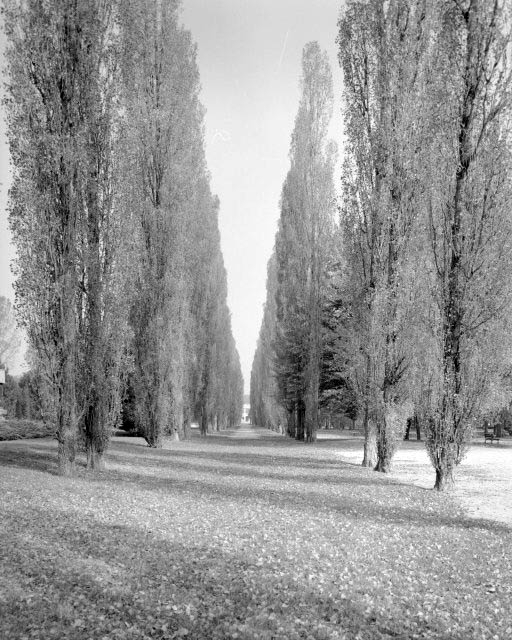 Parc et allée menant du restaurant d'entreprise aux Grands Bureaux. © Yves Sancey / Région Bourgogne-Franche-Comté, Inventaire du patrimoine - 1989 Parc et allée menant du restaurant d'entreprise aux Grands Bureaux. © Yves Sancey / Région Bourgogne-Franche-Comté, Inventaire du patrimoine - 1989