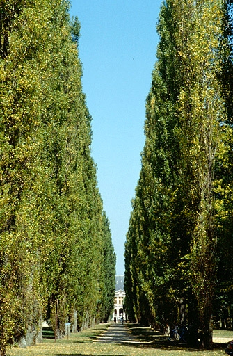 Parc et allée menant du restaurant d'entreprise aux Grands Bureaux (vue rapprochée). © Yves Sancey / Région Bourgogne-Franche-Comté, Inventaire du patrimoine - 1989 Parc et allée menant du restaurant d'entreprise aux Grands Bureaux (vue rapprochée). © Yves Sancey / Région Bourgogne-Franche-Comté, Inventaire du patrimoine - 1989