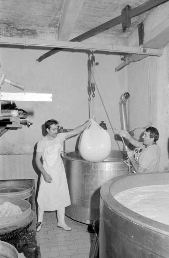 Fabrication du comté : sortie du caillé hors de la cuve. © Laurent Poupard / Région Bourgogne-Franche-Comté, Inventaire du patrimoine - 1990