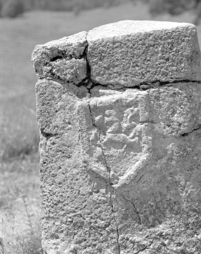 Les armes de la Franche-Comté. © Jérôme Mongreville / Région Bourgogne-Franche-Comté, Inventaire du patrimoine - 1994