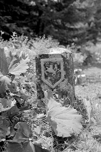 La face avec les armes de la Franche-Comté. © Jérôme Mongreville / Région Bourgogne-Franche-Comté, Inventaire du patrimoine - 1994