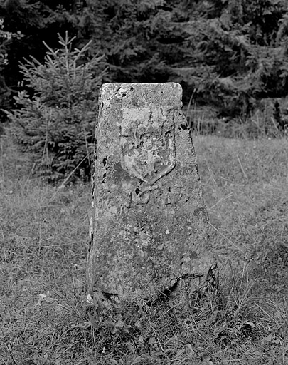 Armes de France. © Jérôme Mongreville / Région Bourgogne-Franche-Comté, Inventaire du patrimoine - 1994 Armes de France. © Jérôme Mongreville / Région Bourgogne-Franche-Comté, Inventaire du patrimoine - 1994