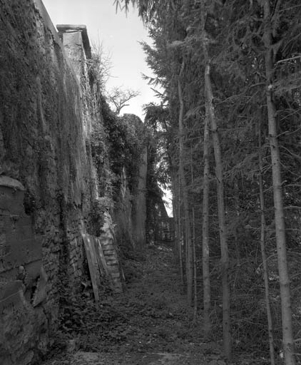 Restes de rempart du bastion de la Visitation (derrière la rue Cécile) : extrémité droite, de trois quarts gauche. © Yves Sancey / Région Bourgogne-Franche-Comté, Inventaire du patrimoine - 1994 Restes de rempart du bastion de la Visitation (derrière la rue Cécile) : extrémité droite, de trois quarts gauche. © Yves Sancey / Région Bourgogne-Franche-Comté, Inventaire du patrimoine - 1994
