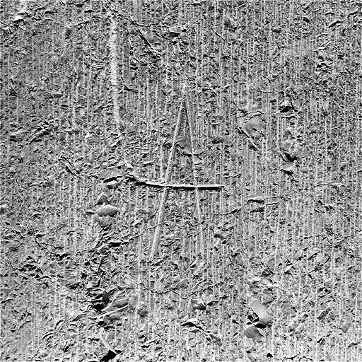 Traces de laie et signe lapidaire sur la pile VIIIN. © Jérôme Mongreville / Région Bourgogne-Franche-Comté, Inventaire du patrimoine - 1997