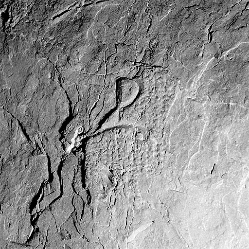 Traces de boucharde et signe lapidaire sur le parement calciné de la pile VIIS. © Jérôme Mongreville / Région Bourgogne-Franche-Comté, Inventaire du patrimoine - 1997