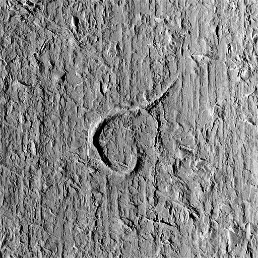 Traces de laie et signe lapidaire dans la septième travée de la coursière du collatéral sud. © Jérôme Mongreville / Région Bourgogne-Franche-Comté, Inventaire du patrimoine - 1997