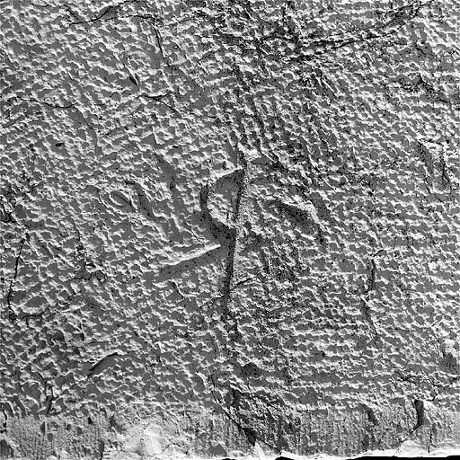 Traces de boucharde et signe lapidaire sur la façade occidentale. © Jérôme Mongreville / Région Bourgogne-Franche-Comté, Inventaire du patrimoine - 1997