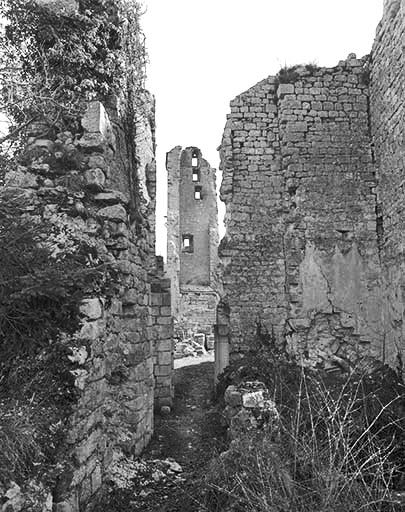 Logis et élévation ouest de la tour Saint-Denis. © Jérôme Mongreville / Région Bourgogne-Franche-Comté, Inventaire du patrimoine - 2000