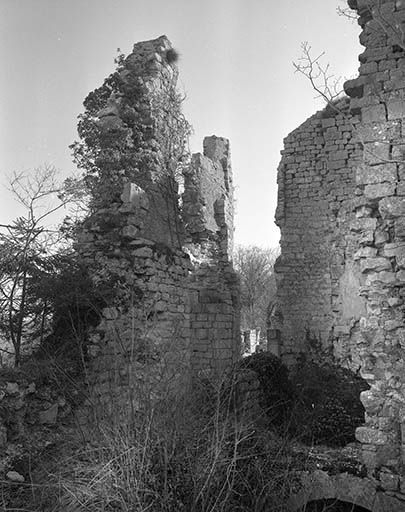 Vue du logis à l'extrémité ouest de l'éperon. © Jérôme Mongreville / Région Bourgogne-Franche-Comté, Inventaire du patrimoine - 2000