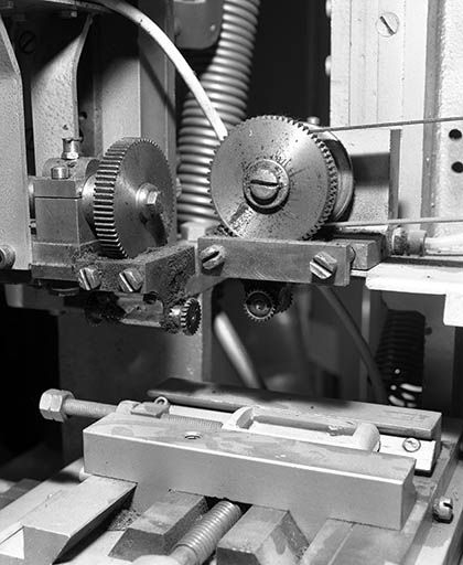 Détail des fraises. © Jérôme Mongreville / Région Bourgogne-Franche-Comté, Inventaire du patrimoine - 2000