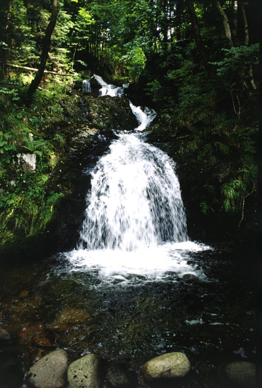 Chute en amont sur la Savoureuse. © Yves Sancey / Région Bourgogne-Franche-Comté, Inventaire du patrimoine - 2000