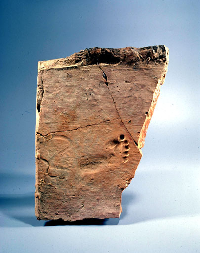 Fragment de tuile (tegula) avec empreinte de pied d'enfant. © Yves Sancey / Région Bourgogne-Franche-Comté, Inventaire du patrimoine - 2001