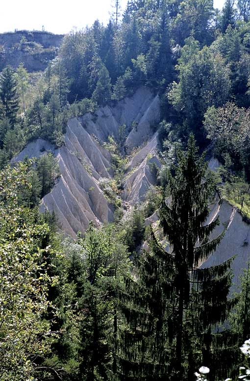 Ravinement au lieu-dit Truchebenate (Arbent), face à la voie, de l'autre côté du vallon du Merdanson. © Yves Sancey / Région Bourgogne-Franche-Comté, Inventaire du patrimoine - 2005